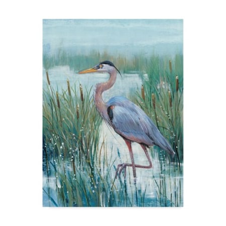 Tim Otoole 'Marsh Heron Ii' Canvas Art,18x24